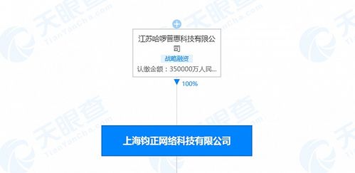 哈啰出行關聯公司注冊資本增至35億人民幣，信息系統集成服務或成戰略新支點